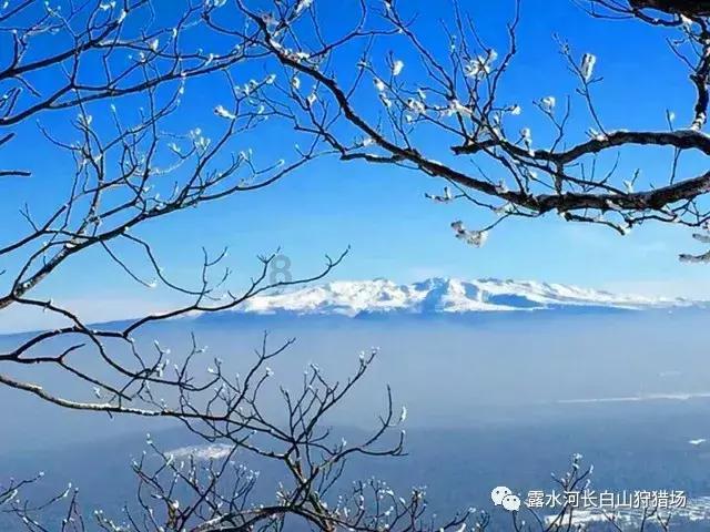 我女友是个二婚，我妈坚决不同意我们的事情，女友很爱我，我也爱我女友，我现在该怎么办？今天我和我妈吵游戏画面