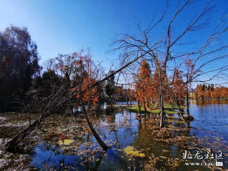 东京42