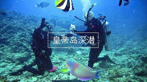 寒潮来袭 昆明主城区飘起飞雪