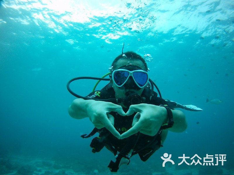 乌克兰作为世界上重要的市场之一，拥有怎样的美誉？游戏画面