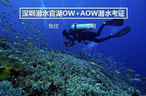 找一首歌 MV是飞天小女警 英文歌或韩文歌 结尾是三个小女警在看电视游戏画面