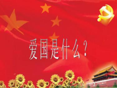 蔬菜基地 收割忙